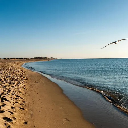 Lejlighed Le Beach-1 By Interhome Canet-en-Roussillon