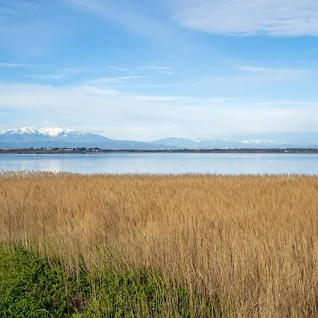 Lejlighed Le Beach-1 By Interhome Canet-en-Roussillon